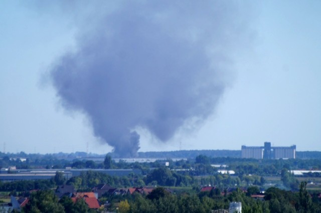 16 zastępów strażaków walczy z pożarem składowiska makulatury w ...