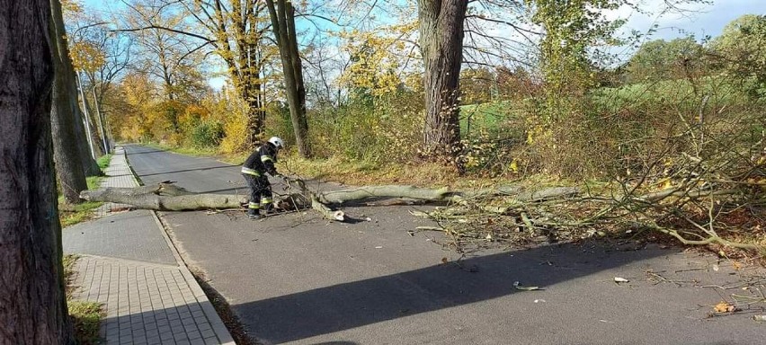 Podsumowanie akcji strażaków OSP Gminy Lubin. Bilans wichury