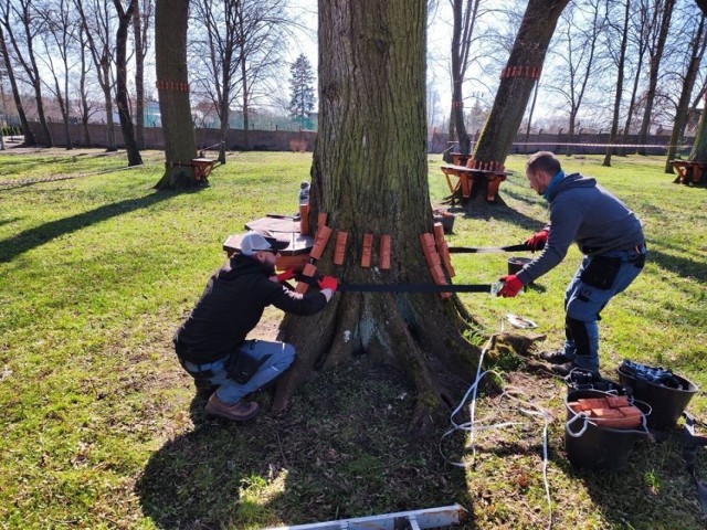 Finiszują prace przy montażu bezasekuracyjnego parku linowego w Tucholi