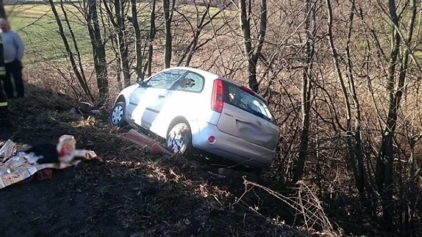 Trzycierz. Kierowca nie poradził sobie na górskiej, kretej drodze. Dwie osoby w szpitalu [ZDJĘCIA]