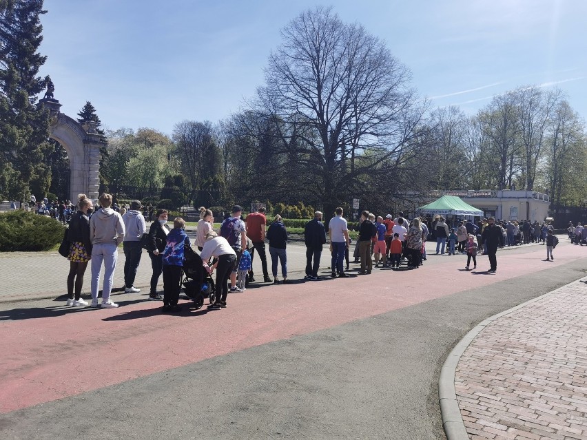 Długa kolejka ustawiła się przed wejściem do Śląskiego...