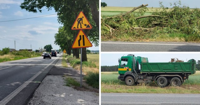 Trwa wycinka setek zdrowych, kilkudziesięcioletnich drzew przy drodze wojewódzkiej 92 między Bolewicami, a Pniewami. Mieszkańcy są zbulwersowani.