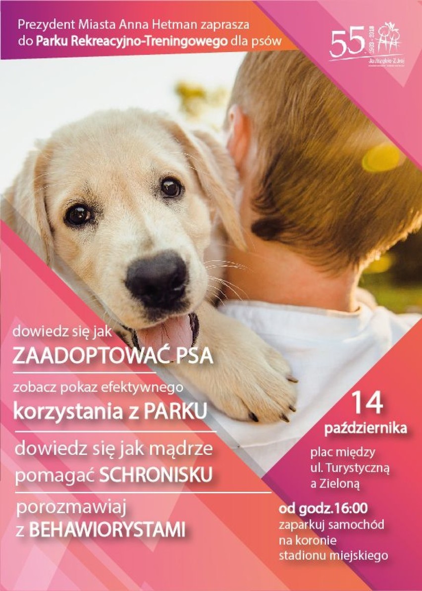 W niedzielę otwarcie parku dla psów w Jastrzębiu. Miasto zaprasza na imprezę
