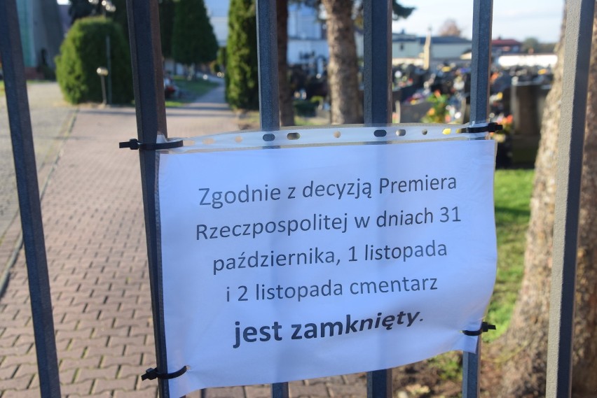 Cmentarze zamknięte. Producenci chryzantem są zdruzgotani ZDJĘCIA