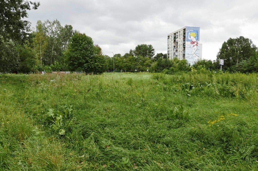 Park Polskich Wynalazców. Nie wystarczy pieniędzy na remont ursynowskiego parku? W tle konflikt dzielnicy z częścią mieszkańców 