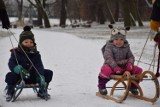 Zima w Opolu. Miały być zaspy, ale pogoda spłatała figla. Zobacz, gdzie Opolanie szukają śniegu w mieście