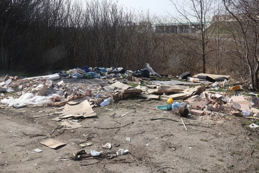 Dzikie wysypisko śmieci w Legnicy, zobaczcie zdjęcia