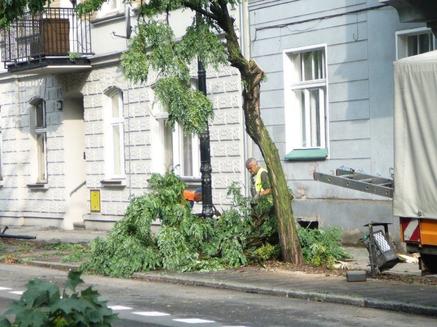 Na wielu ulicach wciąż usuwane są gałęzie. Służby komunalne...