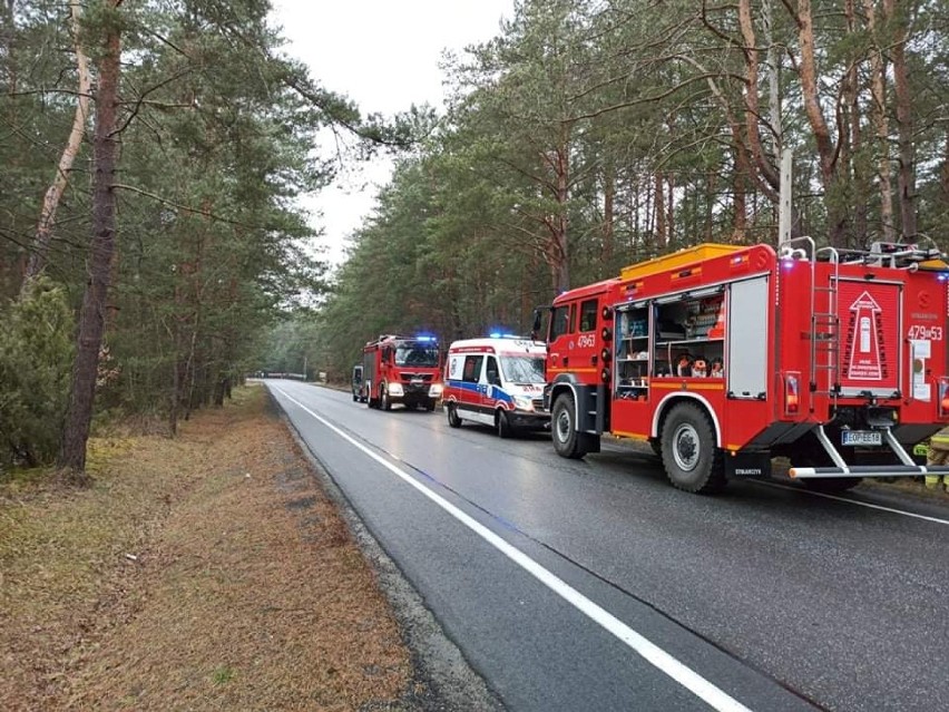 Wypadek w Anielinie na drodze krajowej nr 48. Kierowca skosił słup i wjechał w las [ZDJĘCIA]