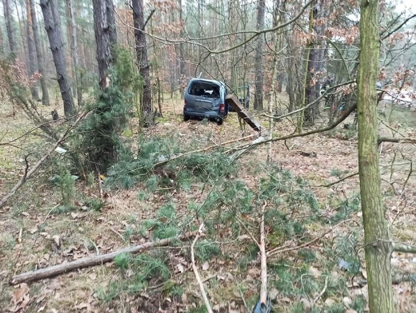 Wypadek w Anielinie na drodze krajowej nr 48. Kierowca skosił słup i wjechał w las [ZDJĘCIA]