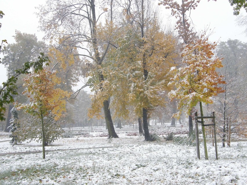 Pierwszy śnieg. Fot. Mariusz Witkowski
