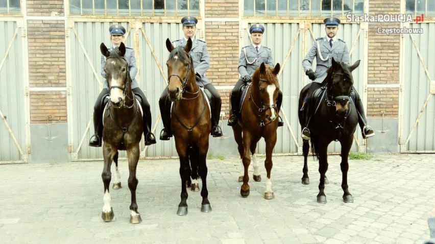 Częstochowska policja konna na Węgrzech ZDJĘCIA