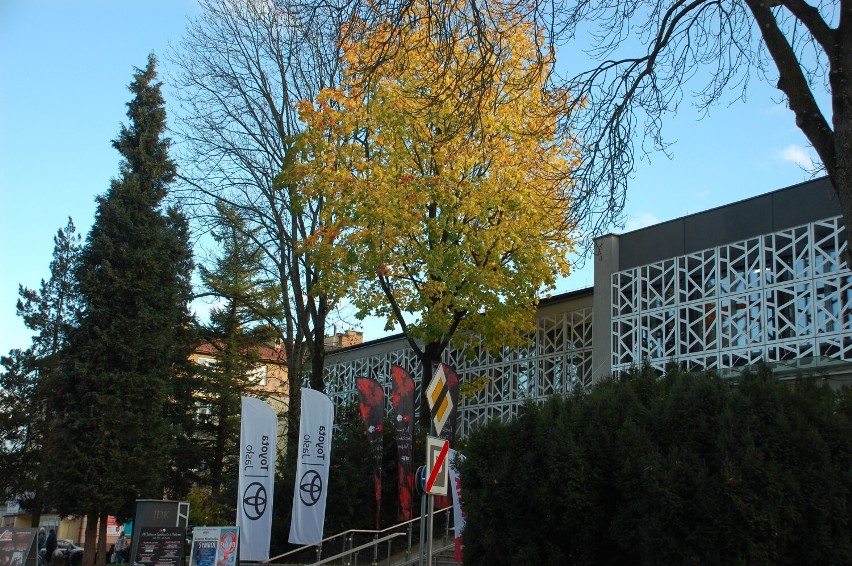 Jasielski Dom Kultury czeka na prace uczniów do 24 listopada