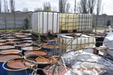 Nielegalne składowisko odpadów chemicznych w Radomiu. Na placu i w hali są składowane beczki z niebezpiecznymi substancjami