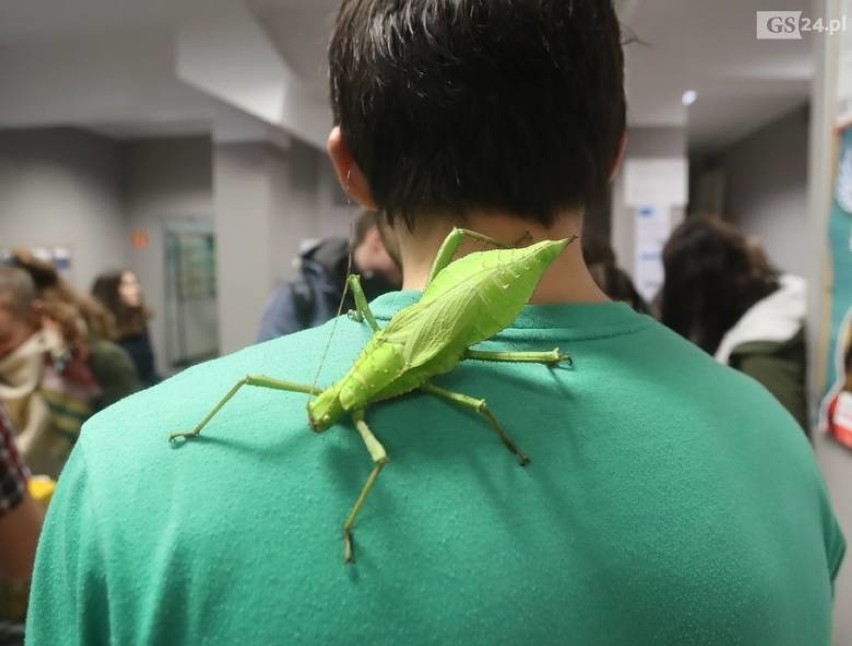 Kolejna Noc Biologów w Szczecinie już w styczniu 