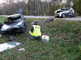 Królewski Dwór (powiat parczewski): Pijany 25-latek spowodował wypadek