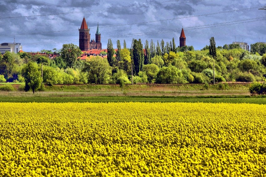 Dzisiaj obchodzimy Międzynarodowy Dzień Krajobrazu.