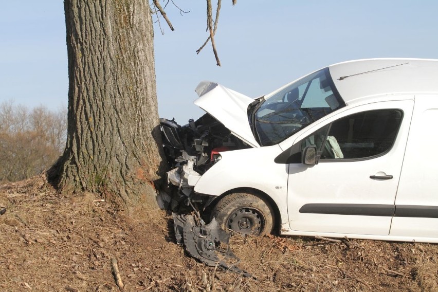 Citroen berlingo uderzyl w drzewo. Kierowca w szpitalu (ZOBACZ ZDJĘCIA)