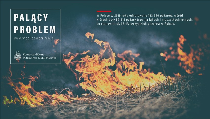 "Stop pożarom traw". W 2019 roku w łęczyckim było aż 56 pożarów [PLAKATY]
