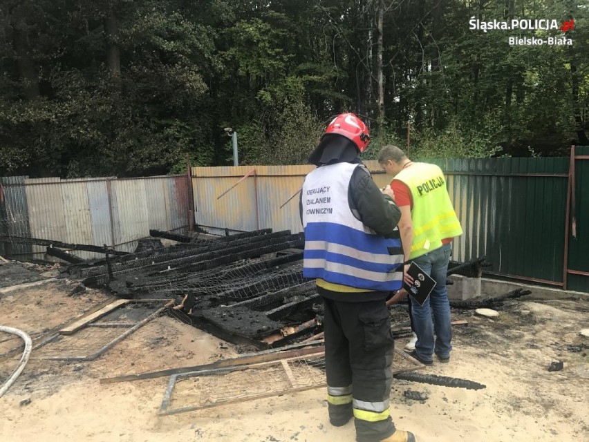 Pożar w hotelu dla psów w Czechowicach-Dziedzicach. W płomieniach zginęły dwa psy. Policja apeluje o pomoc