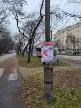 Kraków. Strażnicy ukarali handlarza obwoźnego za nielegalne wywieszanie plakatów reklamowych