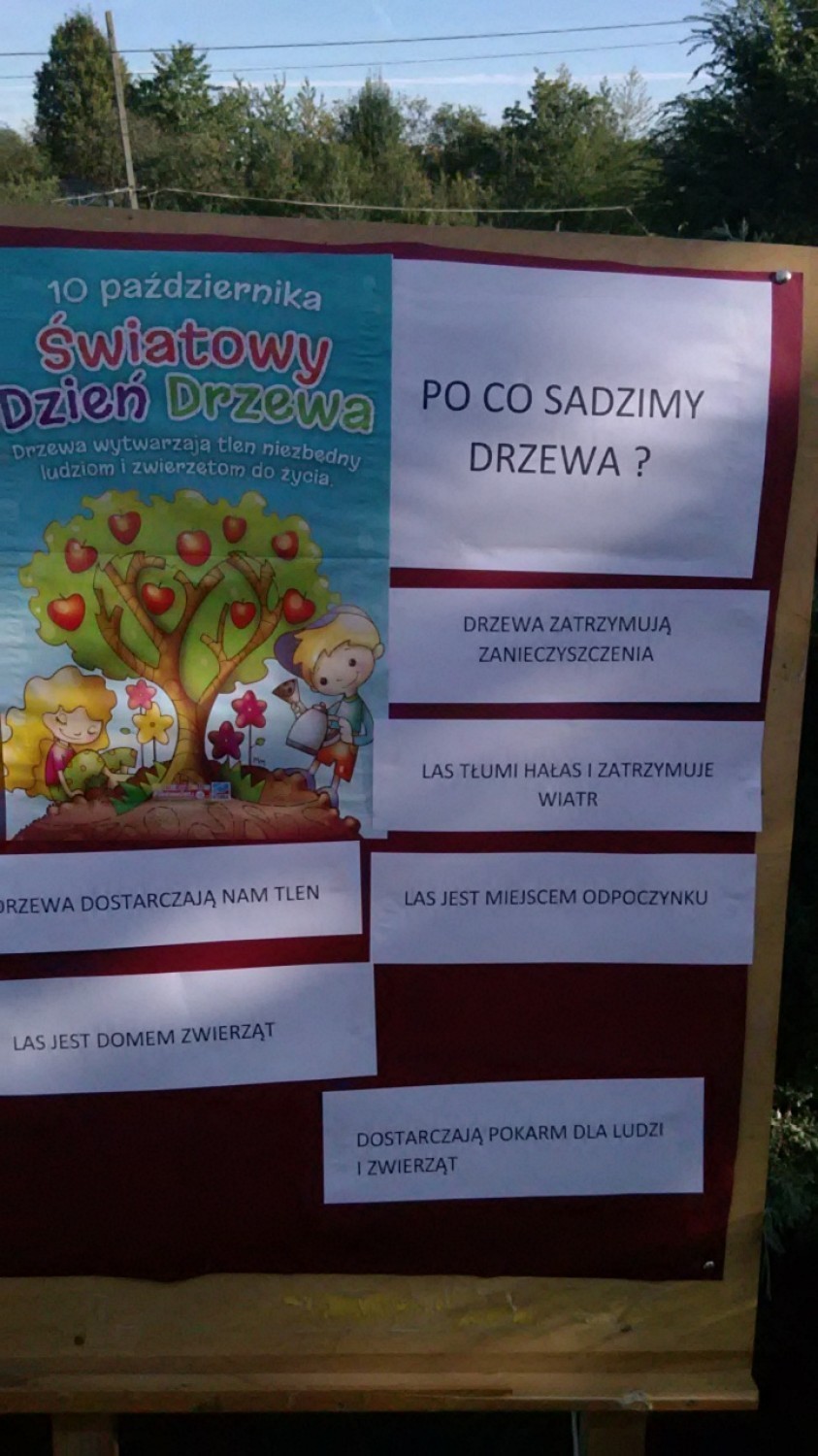 Światowy Dzień Drzewa w Nowej Wsi Lęborskiej