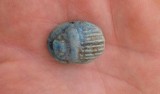 Czarnówko. Skarabeusz znaleziony w starożytnej nekopolii FOTO