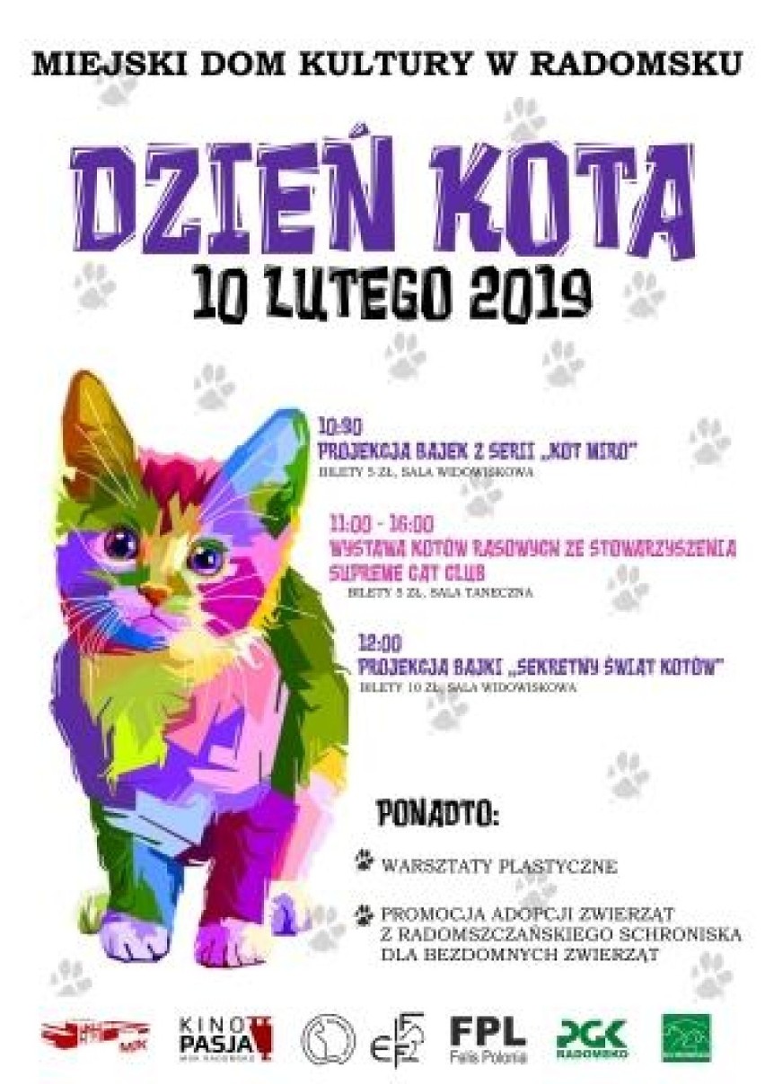 MDK w Radomsku zaprasza na Dzień Kota 2019. Będą filmy i wystawa kotów rasowych 
