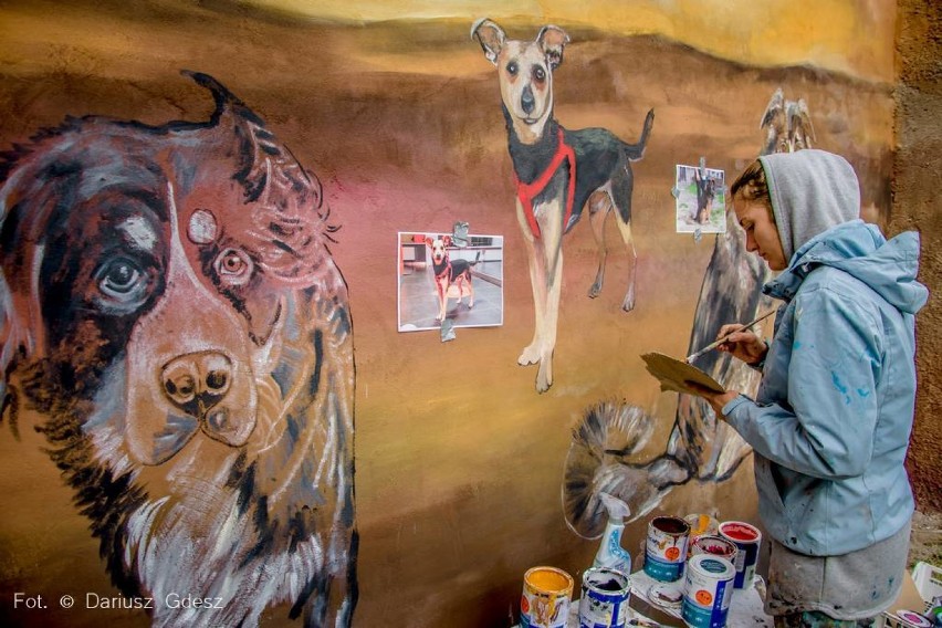 Wałbrzych: Zobacz jak powstaje "psi mural" pomiędzy  ulicami Zajączka i Słowackiego [ZDJĘCIA]