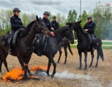 Policyjne konie w Częstochowie gotowe do służby w terenie. Egzaminy formacji konnej poszły na medal