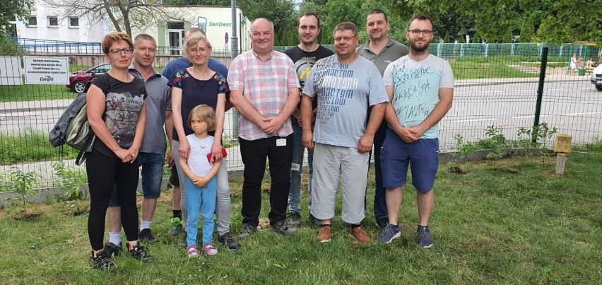 Otoczenie Przedszkola numer 6 w Sandomierzu zdobią nowe nasadzenia. Drzewka to dar od prywatnej firmy. Zobacz zdjęcia