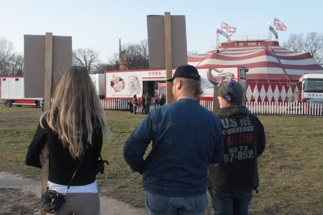 Przyjazna Łapa protestowała pod cyrkiem