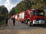 Strażacy z Żor, Rybnika i Raciborza przyjechali do Stodół na ćwiczenia - gasili pożar lasu ZDJĘCIA