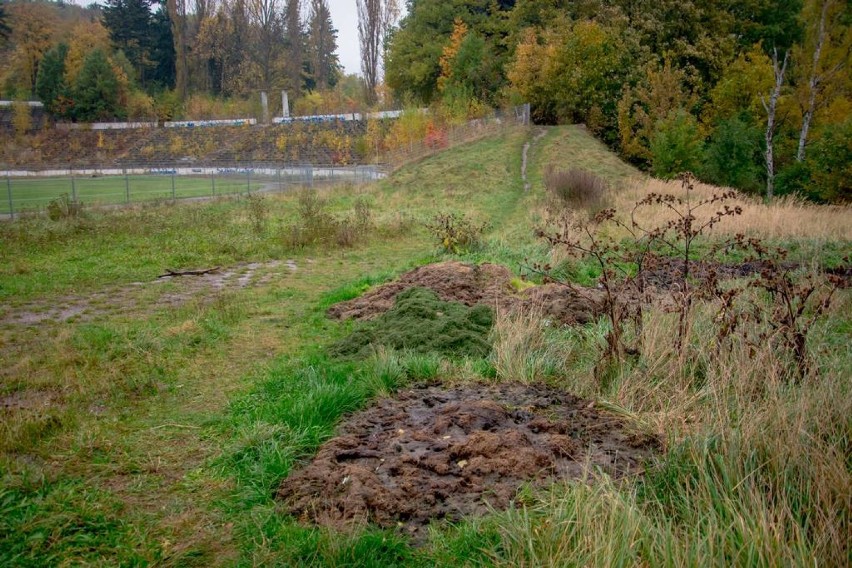 Stadion na Nowym Mieście ma przejść rewitalizację, ale nie tak jak chcą kibice [ZDJĘCIA I FILM]