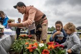 Twórczy i relaksujący Piknik Wielokulturowy na plaży trwa w sobotę w Krakowie