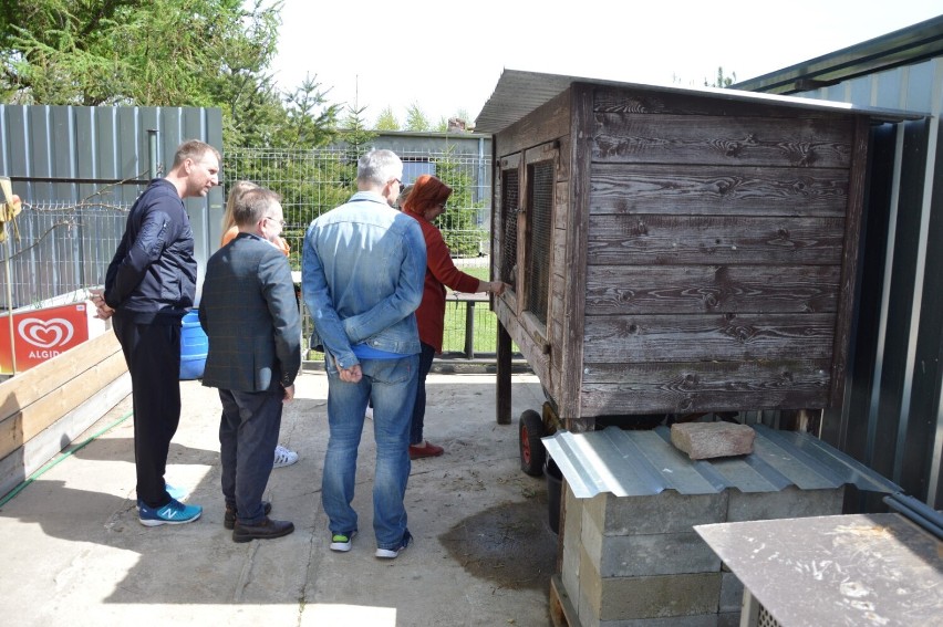 Małoszyce. Lęborscy radni przeprowadzili kontrolę w schronisku dla zwierząt.