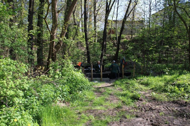 Nowy park powstanie w Dolinie Ślepiotki w Katowicach 

Zobacz kolejne zdjęcia/plansze. Przesuwaj zdjęcia w prawo naciśnij strzałkę lub przycisk NASTĘPNE