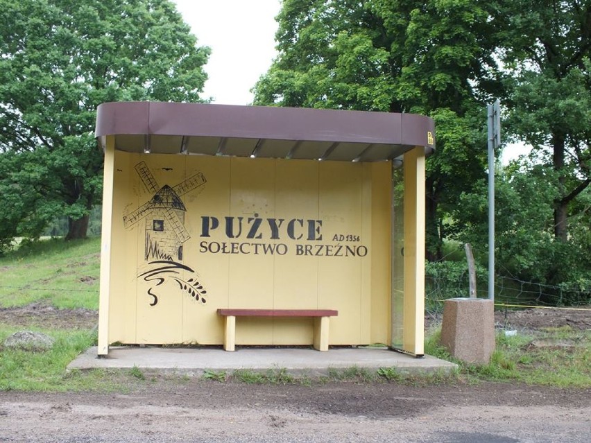 Pużyce, akcja upiększania wsi