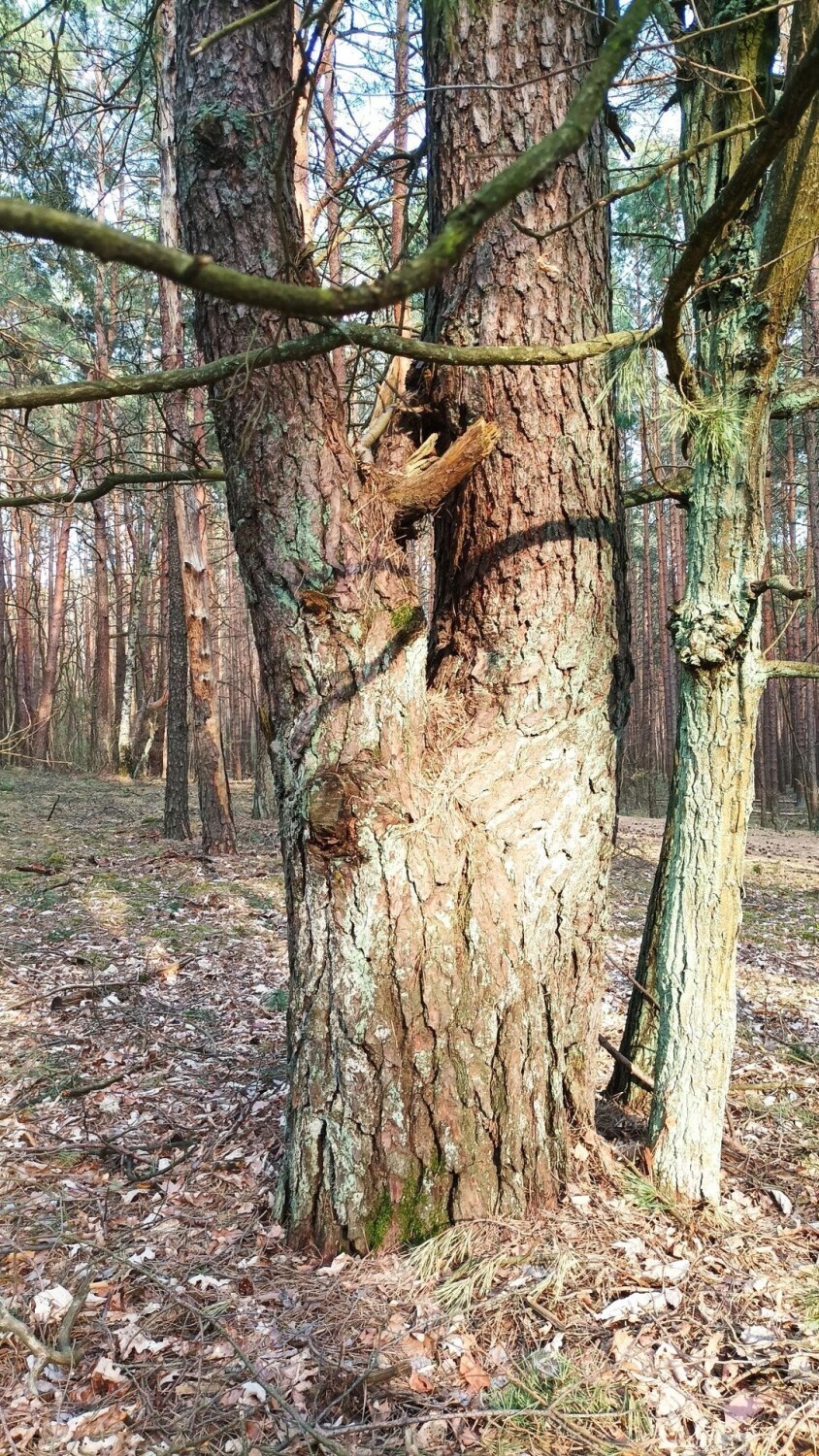 Warto zatrzymać się na chwilę podczas spaceru