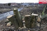 Zdjęcie dnia 02.03.2017 Wałbrzych -poległy następne drzewa