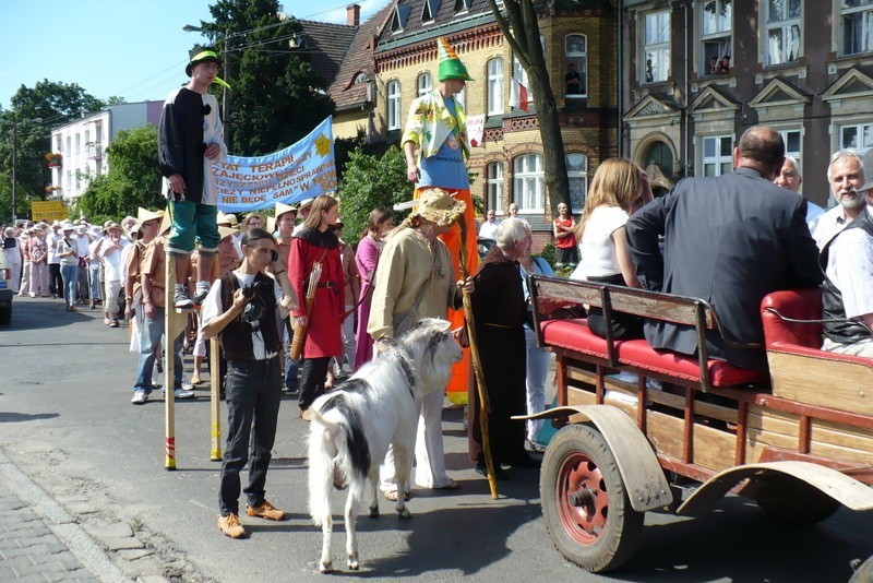 Cepeliada 2012: Barwny korowód rozweselił nowosolskie ulice