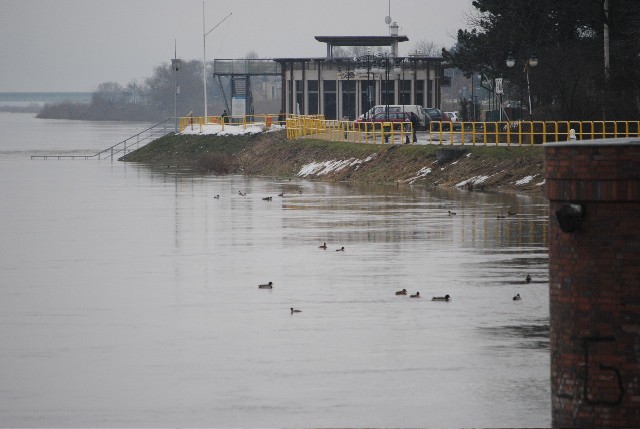 Tczew. Wisła przekroczyła 8,20 m - mamy alarm przeciwpowodziowy