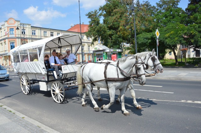 Bryczką po Trakcie Wielu Kultur w Piotrkowie