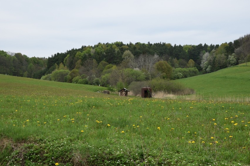 Bieszczady poza utartymi szlakami zachwycają przyrodą, widokami i dają oddech od miasta [ZDJĘCIA]