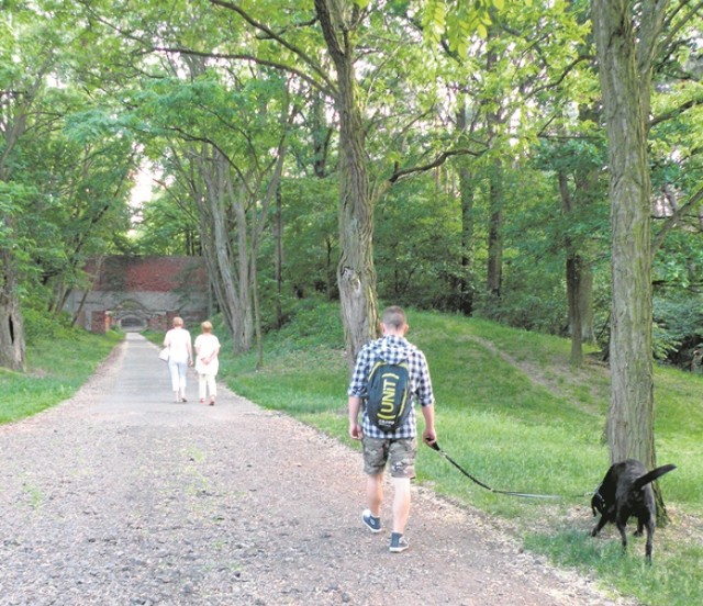 Park Leśny „Strzelnica" zmieni się w muzeum historyczne