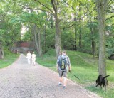 Park Leśny „Strzelnica" zmieni się w muzeum historyczne