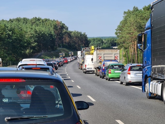 Do zderzenia czterech aut doszło w czwartek, 6 sierpnia, ok. godz. 15. - Zablokowany został jeden pas ruchu  w kierunku Sulechowa - informuje Generalna Dyrekcja Dróg Krajowych i Autostrad. 

Na szczęście nikt z podróżujących autami nie ucierpiał, to tylko kolizja. Na drodze utworzył się spory korek. Kierowcy jadący od strony Zielonej Góry muszą uzbroić się w cierpliwość. - Samochody poruszają się bardzo powoli - relacjonuje nasza Czytelniczka, która właśnie jedzie do Sulechowa.