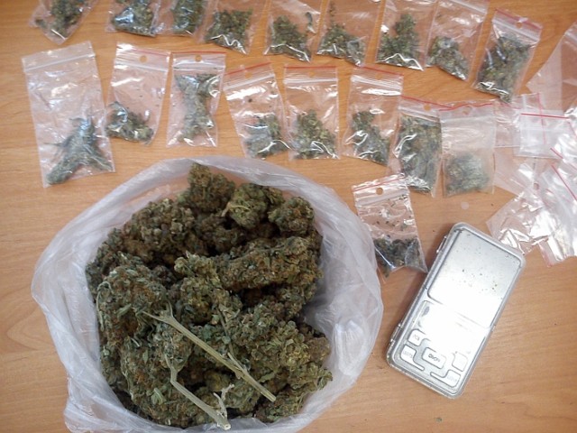 Marihuana znaleziona w mieszkaniu przy ul. Kołłątaja w Puławach