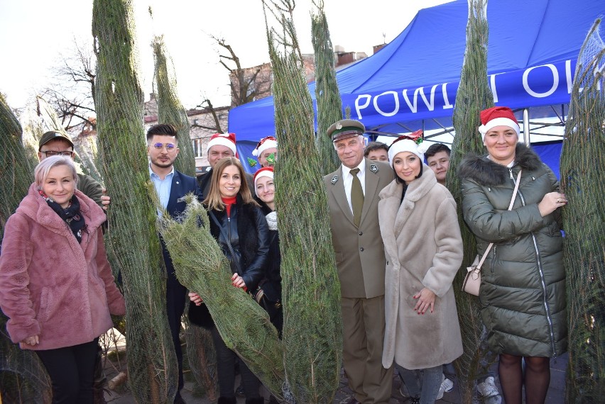 Na olkuskim rynku rozdawali darmowe choinki. Ustawiła się po nie kolejka  [ZDJĘCIA]