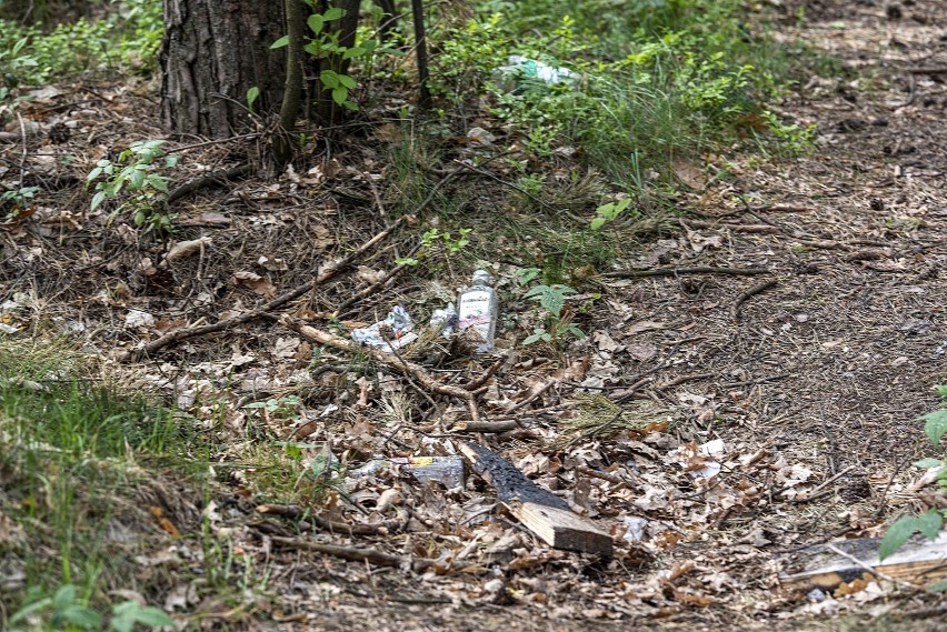 Zaśmiecone okolice stawów w Laskach